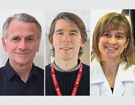 YEAR IN REVIEW: Translational Research in Respiratory Diseases Program (RESP)