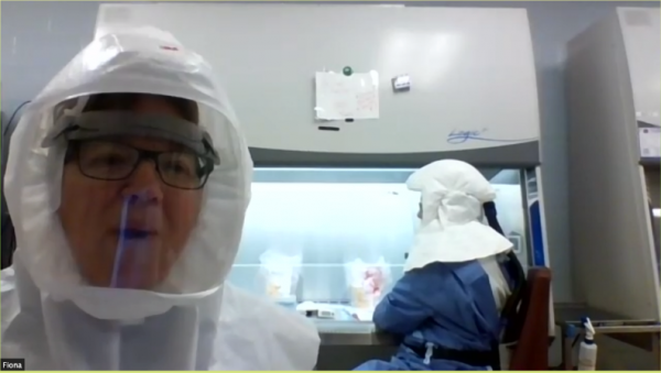 Andreanne Lupien at work in a biosafety cabinet, while Fiona McIntosh connects by Zoom from the Containment Level 3 lab