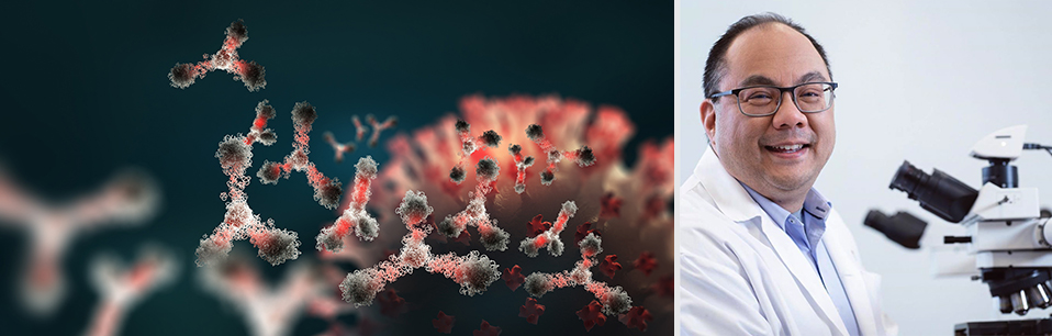 Le Dr Don Vinh est scientifique dans le Programme en maladies infectieuses et immunité en santé mondiale à l'Institut de recherche du CUSM