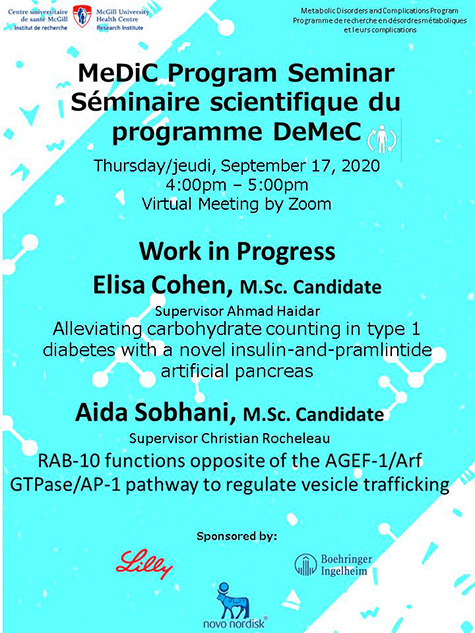 Séminaire scientifique du programme DeMeC (le 17 septembre 2020)