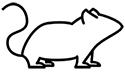 Logo Plateforme d’imagerie du petit animal (PIPA)