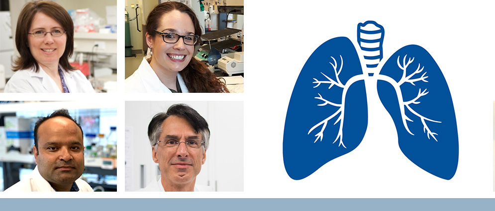 Dr. Carolyn Baglole and former research trainee Necola Guerrina, PhD, first author of their FASEB Journal publication (top, L-R); postdoctoral fellow Salyan Bhattarai, PhD, first author of a Nature Communications publication, and last author Dr. Basil J. Petrof (bottom, L-R)