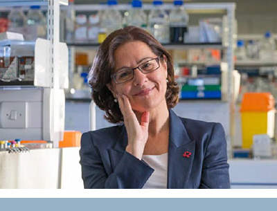 Rhian M. Touyz, MBBCh, M.Sc. (Med), PhD, FRCP, FRSE, FMedSci, FCAHS, Executive Director and Chief Scientific Officer, RI-MUHC