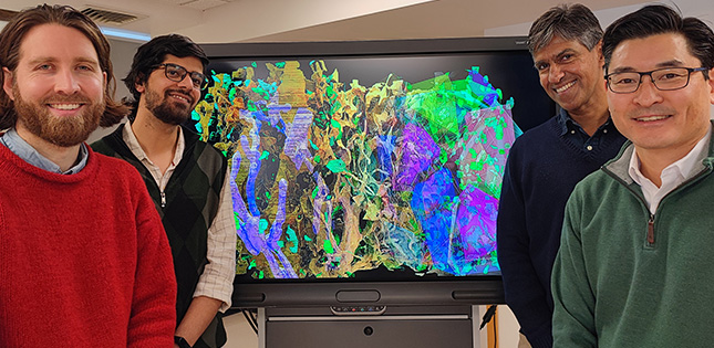 To decode the nanoarchitecture of brain cells, Keith Murai, PhD, and his collaborators harness the perspectives of neuroscientists, anatomists, imaging specialists, computer scientists and mathematicians. L to R: research trainees Chris Salmon, PhD, and Tabish Syed; McGill collaborator Kaleem Siddiqi, PhD; and Keith Murai, PhD.