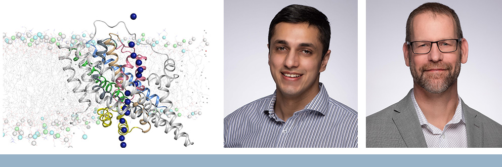 Left to right: Visualization of EA6-related mutations in the structure of hEAAT1; Azman Akhter, M.Sc., co-first author; and Don van Meyel, PhD, study co-leader and senior scientist, RI-MUHC. Left to right: Visualization of EA6-related mutations in the structure of hEAAT1; Azman Akhter, M.Sc., co-first author; and Don van Meyel, PhD, study co-leader and senior scientist, RI-MUHC.