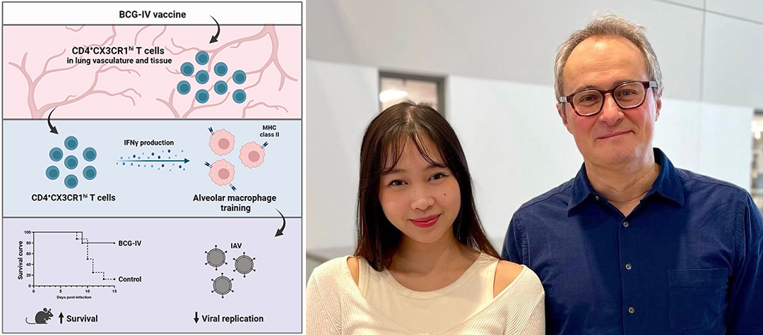 A graphical abstract summarizes the work of the publication. First author Kim Tran (left) is a PhD candidate supervised by Maziar Divangahi, PhD (right) in the Translational Research in Respiratory Diseases Program at the RI-MUHC.