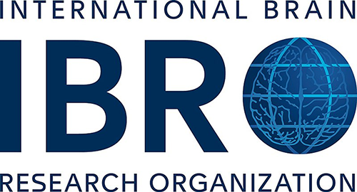International Brain Research Organization (IBRO) logo