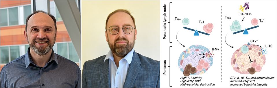 Senior author Ciriaco Piccirillo (left) and first author Fernando Alvarez (centre) are members of the IDIGH program at The Institute. The graphical abstract (right) is from their publication in JCI Insight.