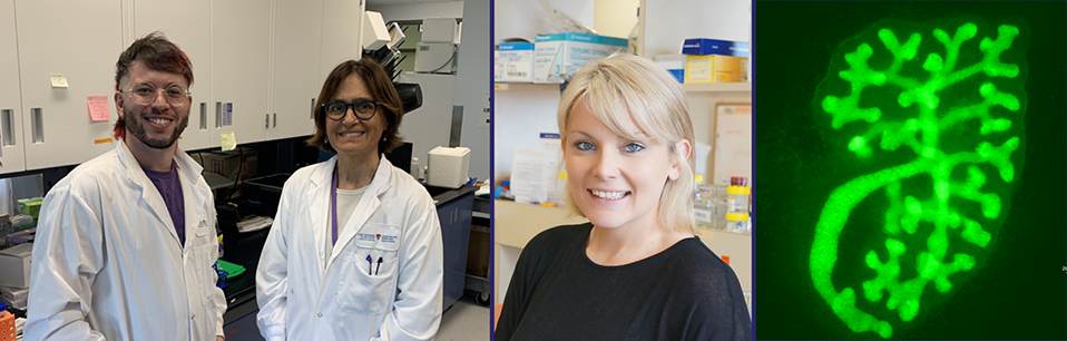 Pictured from left to right are Carlos Agustin Isidro Alonso, PhD, Indra Gupta, MD, and Jenna Haverfield, PhD. Pictured from left to right are Carlos Agustin Isidro Alonso, PhD, Indra Gupta, MD, and Jenna Haverfield, PhD.