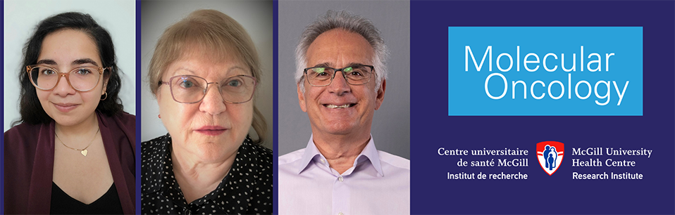 From left, first author Seta Derderian, and senior authors Simone Chevalier and Armen Aprikian.