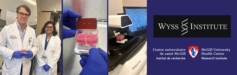 (Photos from left to right) Dr. Lorenzo Ferri, with the organ chip in hand, and Sanjima Pal, first author of the study. The organ chip with the reservoir containing circulating chemotherapy drugs. Cell imaging system used with the organ chip.