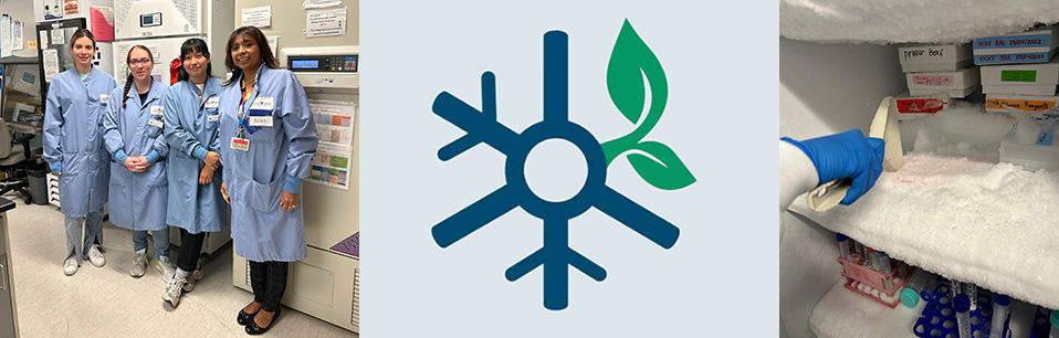Left: The CIM Specimen Lab team celebrates their first place win in the Freezer Challenge, individual lab category. Right: Defrosting freezers was part of the RESP Program's path to a win in the Freezer Challenge, group lab category. Left: The CIM Specimen Lab team celebrates their first place win in the Freezer Challenge, individual lab category. Right: Defrosting freezers was part of the RESP Program's path to a win in the Freezer Challenge, group lab category.