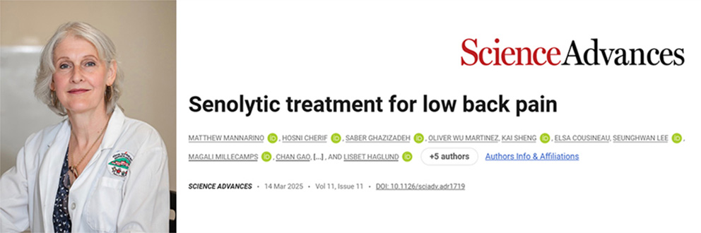 Lisbet Haglund, PhD, is a member of the Surgical and Interventional Sciences Program at The Institute.