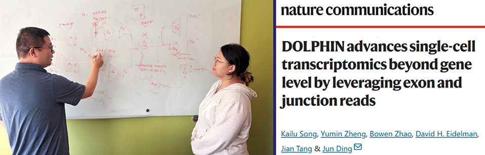 Jun Ding, PhD (à gauche), membre du programme de recherche translationnelle sur les maladies respiratoires de L'Institut, avec Kailu Song (à droite), doctorante. Jun Ding, PhD (à gauche), membre du programme de recherche translationnelle sur les maladies respiratoires de L'Institut, avec Kailu Song (à droite), doctorante.