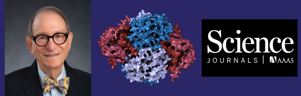 Dr. Rosenblatt (left) is Professor in the Departments of Human Genetics, Medicine, Pediatrics and Biology at McGill University. Graphic (centre) shows AlphaFold interaction prediction between NUDT5 dimers (red) and PPAT tetramer (blue) © Tuan-Anh Nguyen