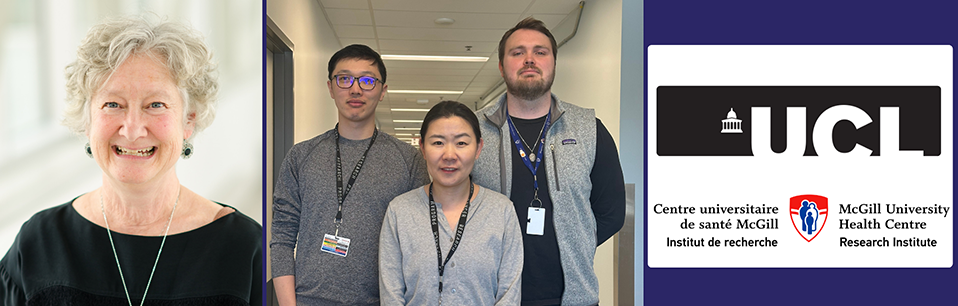 Nathalie Lamarche-Vane (left) is a Senior Scientist in the Cancer Research Program at The Institute. Centre image, from left: Xinyu Miao, PhD candidate, Yi He, PhD, and Leif Leclaire, PhD candidate, are members of Prof. Lamarche-Vane’s research team. Nathalie Lamarche-Vane (left) is a Senior Scientist in the Cancer Research Program at The Institute. Centre image, from left: Xinyu Miao, PhD candidate, Yi He, PhD, and Leif Leclaire, PhD candidate, are members of Prof. Lamarche-Vane’s research team.