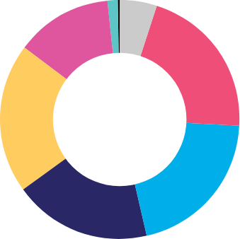 Researcher by appointment breakdown