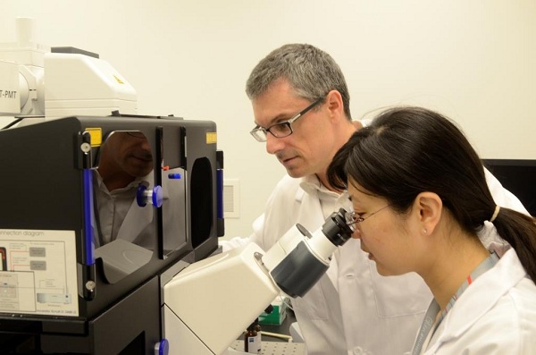 Plateforme de découverte de médicaments moléculaire : Drs Stéphane Laporte et Min Fu