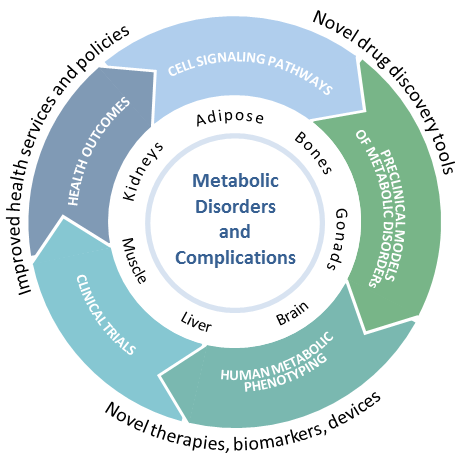 Metabolic Disorders and Complications Program - Research ...
