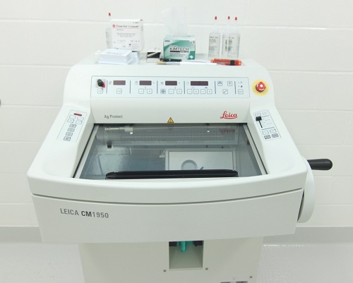Leica CM1950 Cryostat