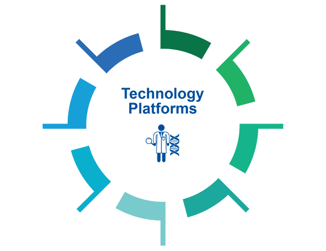 Technology Platforms Wheel