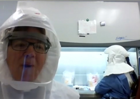 Andréanne Lupien (right) at work in a biosafety cabinet, while Fiona McIntosh connects by Zoom from the Containment Level 3 Lab