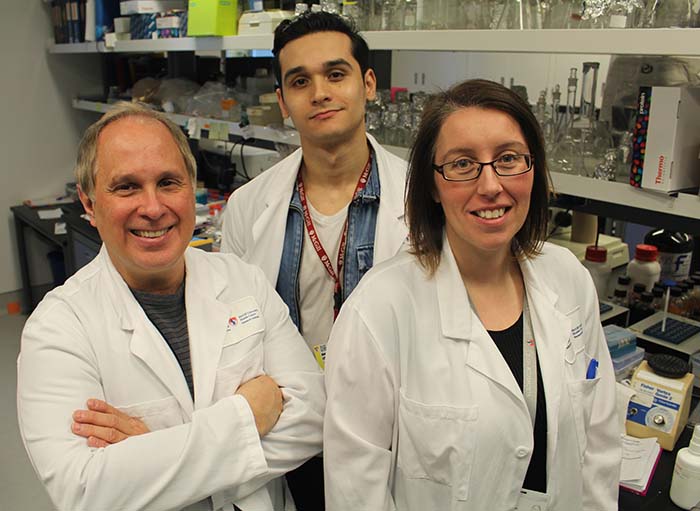 From L to R : Martin Olivier (Principal Investigator) with Alonso da Silva Lira Filho (PhD student) and Caroline Martel (Research assistant) in their laboratory at the Research Institute of the McGill University Health Centre. From L to R : Martin Olivier (Principal Investigator) with Alonso da Silva Lira Filho (PhD student) and Caroline Martel (Research assistant) in their laboratory at the Research Institute of the McGill University Health Centre.