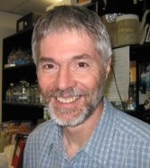 Alain Nepveu, Ph. D., est membre du Programme en recherche sur le cancer de l’Institut de recherche du CUSM
