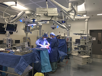 Researchers using the experimental operating room