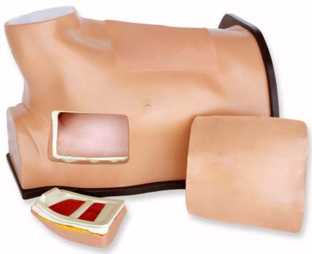 Blue Phantom - Modèle d'échographie thoracentique et thoracostomie