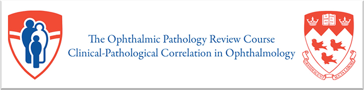 Ophthalmic Pathology Review Course (August 14-16, 2019)