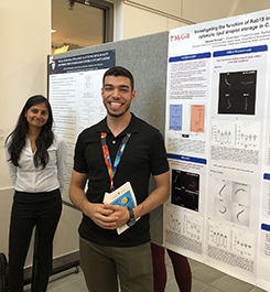 Undergraduates, visiting students and incoming graduate students participated in the RI-MUHC Summer Student Research Day Undergraduates, visiting students and incoming graduate students participated in the RI-MUHC Summer Student Research Day