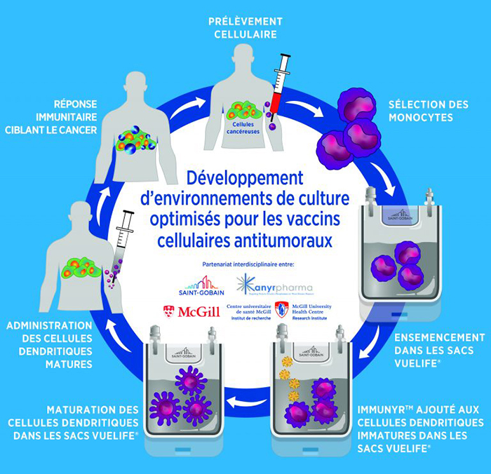 Développement d'environnements de culture optimisés pour les vaccins cellulaires antitumoraux