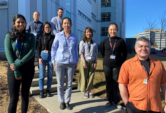 Jean-Jacques Lebrun, M.Sc., PhD (right), is a member of the Cancer Research Program at the RI-MUHC. Also involved in the discovery were Meiou Dai, Gang Yan, Ni Wang, Girija Daliah, Sophie Poulet, Julien Boudreault and Suhad Ali (RI-MUHC) and Ashlin M. Edick and Sergio A. Burgos (McGill University)